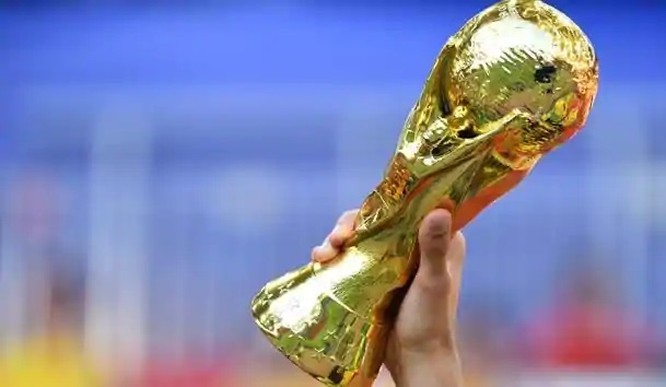 FIFA World Cup Trophy Worth